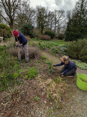 Weekly catch up with garden & propagation Weekly catch up with garden & propagation