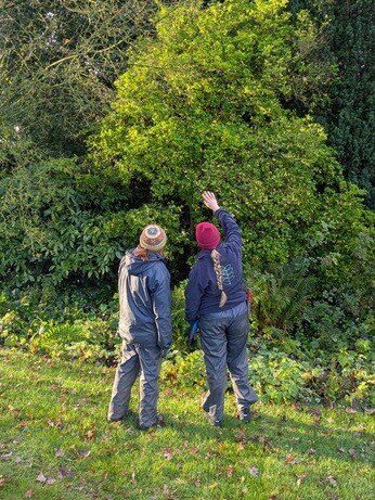 Weekly catch up with garden & propagation Weekly catch up with garden & propagation