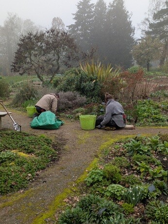 Weekly catch up with garden & propagation Weekly catch up with garden & propagation