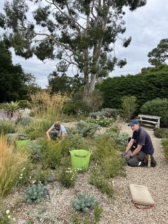 Weekly catch up with garden & propagation Weekly catch up with garden & propagation