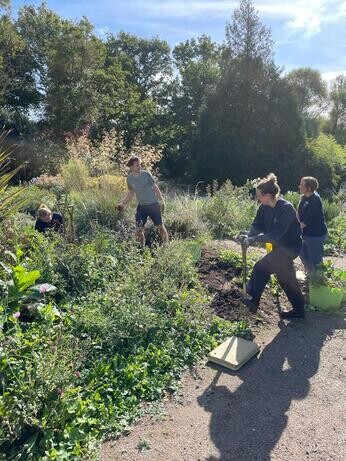This week in the garden- mid October This week in the garden- mid October