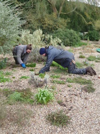 Weekly catch up with garden & propagation Weekly catch up with garden & propagation