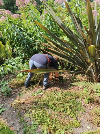 Weekly catch up with garden and propagation Weekly catch up with garden and propagation
