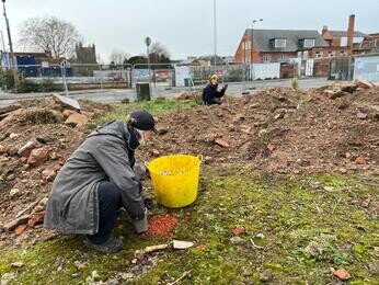 Colchester Meanwhile Garden Colchester Meanwhile Garden