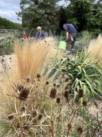 Weekly catch up with garden & propagation Weekly catch up with garden & propagation