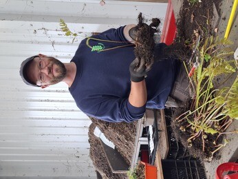 Weekly catch up with garden and propagation Weekly catch up with garden and propagation