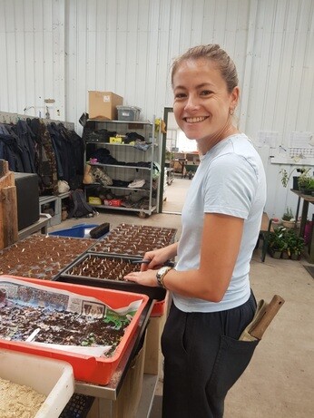 Weekly catch up with garden & propagation Weekly catch up with garden & propagation