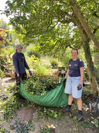 Weekly catch up with garden and propagation Weekly catch up with garden and propagation