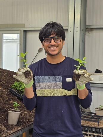 Weekly catch up with garden and propagation Weekly catch up with garden and propagation