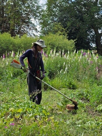Weekly catch up with garden & propagation Weekly catch up with garden & propagation