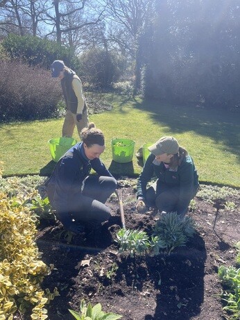 Weekly catch up with gardens & propagation Weekly catch up with gardens & propagation