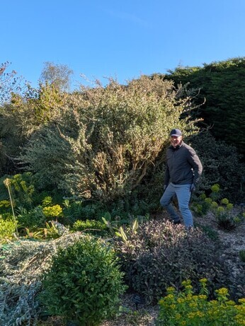 Weekly catch up with garden & propagation Weekly catch up with garden & propagation