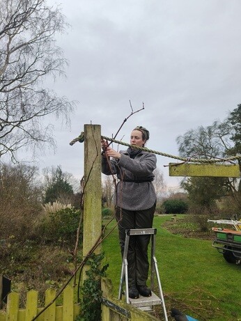 Weekly catch up with garden & propagation Weekly catch up with garden & propagation