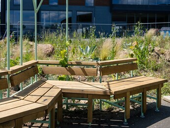Beth Chatto's Meanwhile Garden Beth Chatto's Meanwhile Garden