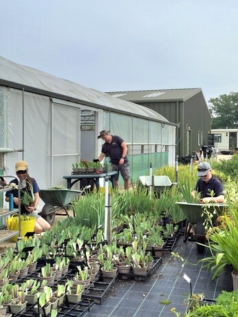 Weekly catch up with garden & propagation Weekly catch up with garden & propagation