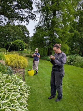 Weekly catch up with garden and propagation Weekly catch up with garden and propagation