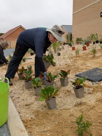 Weekly catch up with garden & propagation Weekly catch up with garden & propagation