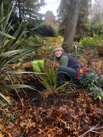 Weekly catch up with garden & propagation Weekly catch up with garden & propagation