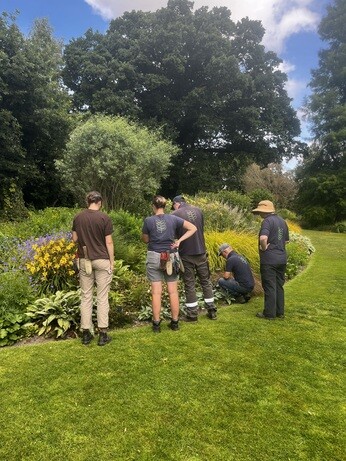 Weekly catch up with garden & propagation Weekly catch up with garden & propagation