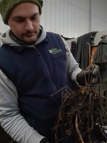 Weekly catch up with garden & propagation Weekly catch up with garden & propagation