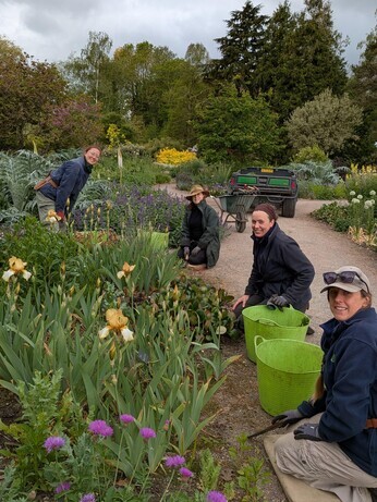 Weekly catch up with garden and propagation Weekly catch up with garden and propagation