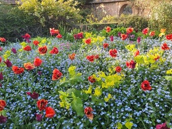 A glorious weekend at Great Dixter's Spring Plant Fair A glorious weekend at Great Dixter's Spring Plant Fair