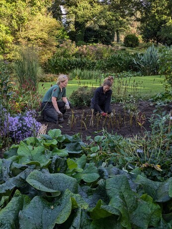 News from the garden and propagation News from the garden and propagation