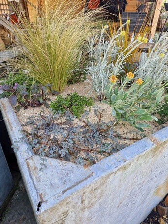 Urban planters experiment Urban planters experiment
