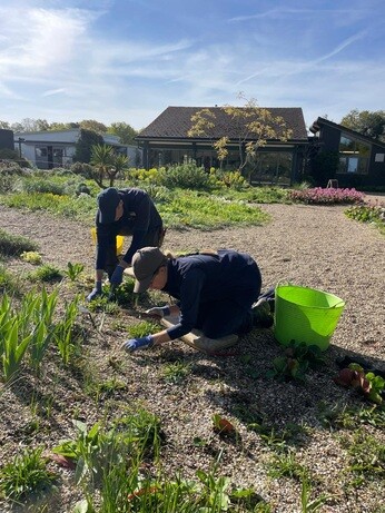 Weekly catch up with gardens & propagation Weekly catch up with gardens & propagation