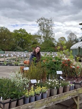 Weekly catch up with garden & propagation Weekly catch up with garden & propagation