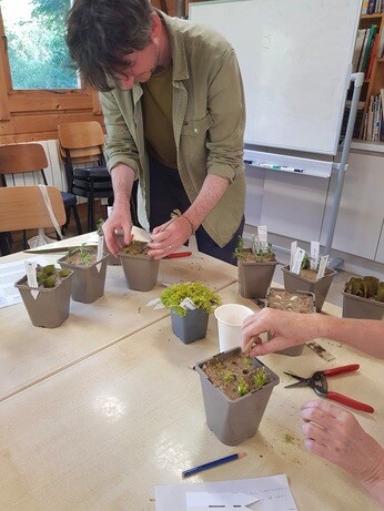 Weekly catch up with garden & propagation Weekly catch up with garden & propagation