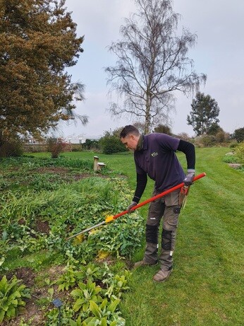 Weekly catch up with garden & propagation Weekly catch up with garden & propagation