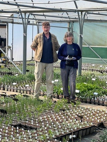 Weekly catch up with garden & propagation Weekly catch up with garden & propagation