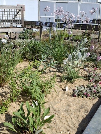 New urban planters for 2026 New urban planters for 2026