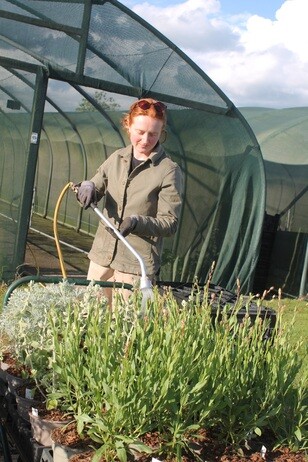 My year as a trainee at Beth Chatto's Plants & Gardens My year as a trainee at Beth Chatto's Plants & Gardens