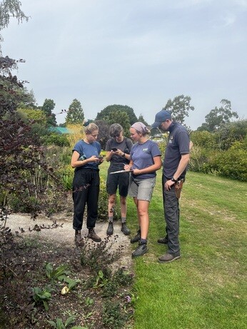 Weekly catch up with garden & propagation Weekly catch up with garden & propagation