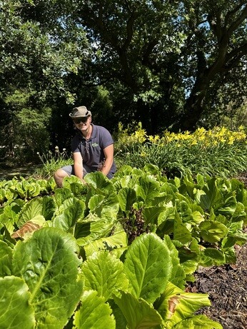 Weekly catch up with garden & propagation Weekly catch up with garden & propagation