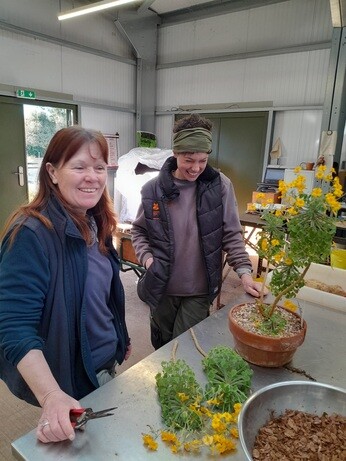 Weekly catch up with garden & propagation Weekly catch up with garden & propagation