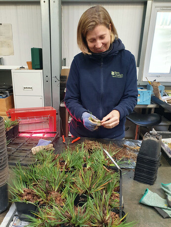Preparing for winter with the propagation team Preparing for winter with the propagation team