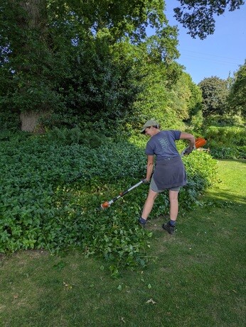 Weekly catch up with garden & propagation Weekly catch up with garden & propagation