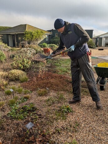 Weekly catch up with garden & propagation Weekly catch up with garden & propagation