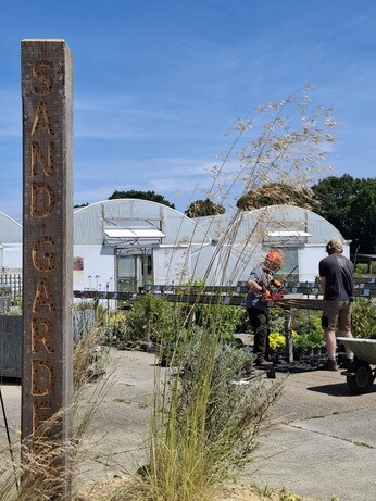 Weekly catch up with garden and propagation Weekly catch up with garden and propagation