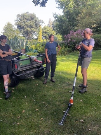 Weekly catch up with garden & propagation Weekly catch up with garden & propagation
