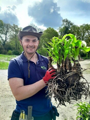 Weekly catch up with gardens & propagation Weekly catch up with gardens & propagation