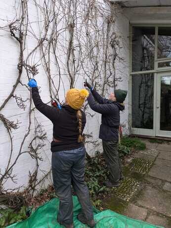 January news from the garden and propagation January news from the garden and propagation
