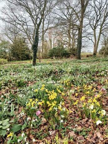 My year as a trainee at Beth Chatto's Plants & Gardens My year as a trainee at Beth Chatto's Plants & Gardens