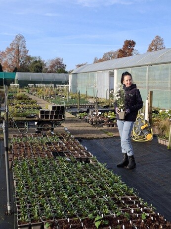 Weekly catch up with garden & propagation Weekly catch up with garden & propagation