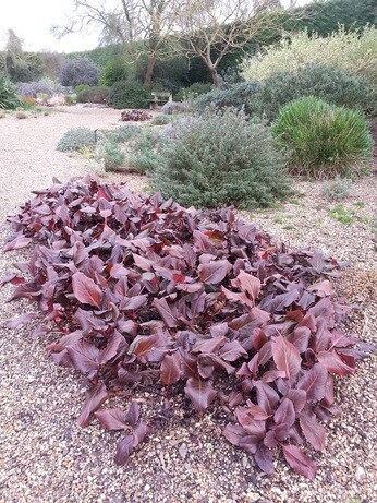 Fabulous foliage Fabulous foliage