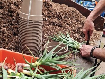 Propagation jobs this month Propagation jobs this month