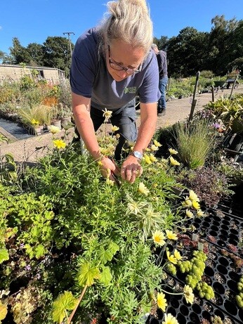 Weekly catch up with garden & propagation Weekly catch up with garden & propagation